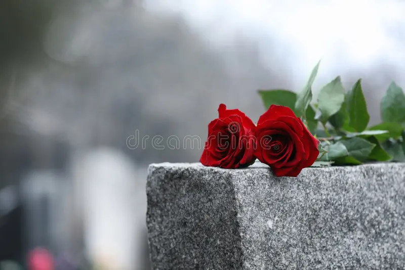 Roses sur pierre tombale