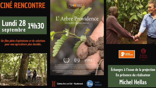 L'arbre de la providence Hazebrouck 2026
